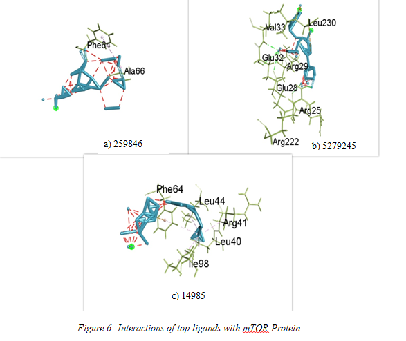 Inhibition of PI3K/Akt/mTOR Signaling Pathway by Vitis Vinifera Phytocompounds: A Promising Strategy for Supressing Colorectal Cancer Growth and Metastasis 7 figures
