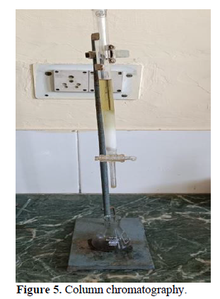 Studies on Extraction of Flavonoids from the Peel of Pisum Sativum 6 figures