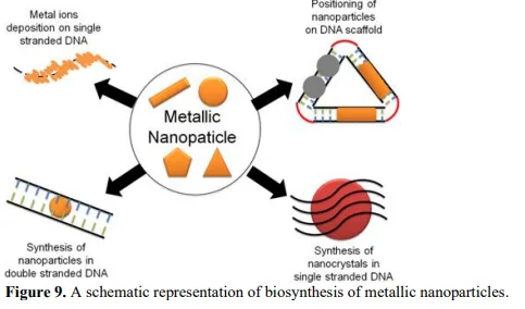 Aquatic Ecosystems: A Review on Prospecting of Anticancer Molecules from Fungi & Other Microbes 10 figures