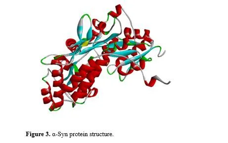 Exploring the Therapeutic Potential of Grapeseed Phytoconstituent Through Molecular Docking Analysis for Multiple System Atrophy Treatment 4 figures