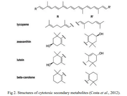 Aquatic Ecosystems: A Review on Prospecting of Anticancer Molecules from Fungi & Other Microbes 3 figures