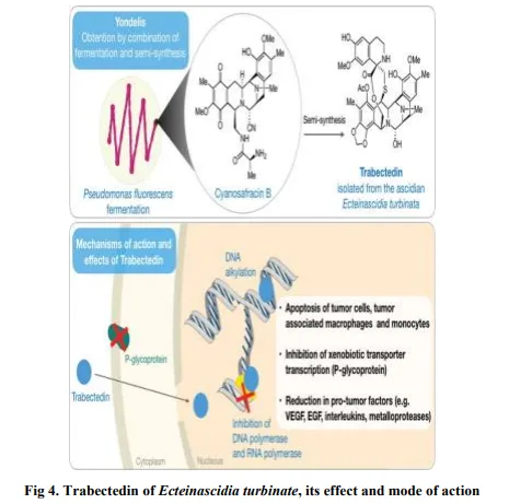 Aquatic Ecosystems: A Review on Prospecting of Anticancer Molecules from Fungi & Other Microbes 5 figures