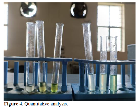 Studies on Extraction of Flavonoids from the Peel of Pisum Sativum 5 figures