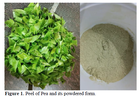 Studies on Extraction of Flavonoids from the Peel of Pisum Sativum 2 figures