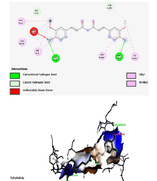 Molecular Docking Study: Targeting mycobacterium leprae ML2640 Protein Using Active Compounds from Coscinium fenestratum 3 figures