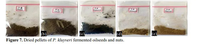 Total Lipids and Storage Quality of Oil Seeds and Nuts as Influenced by Yeast Fermentation 8 figures